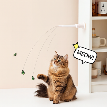 CutyChase™ – Jouet pour chat interactif