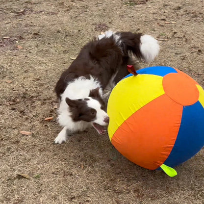 Balle géante CutyPet™