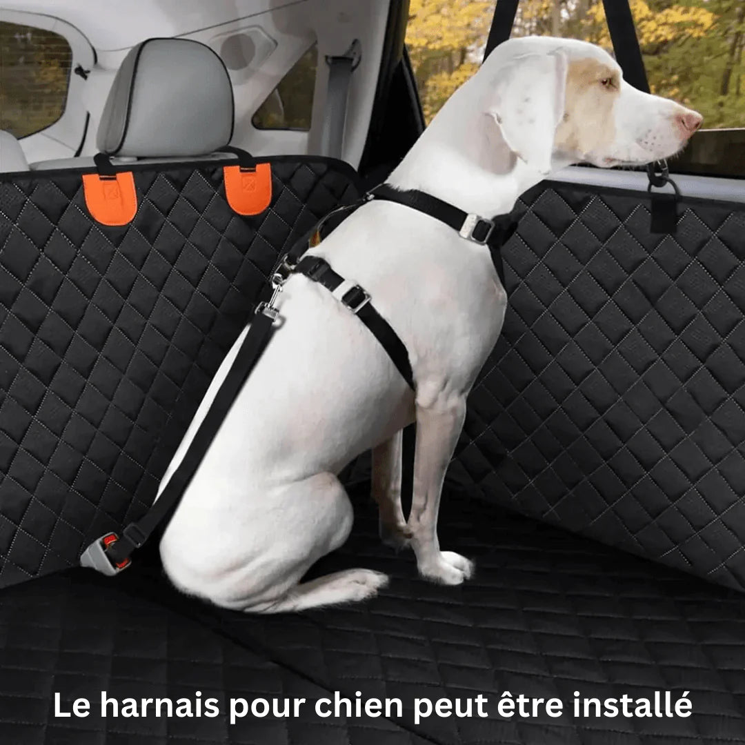 Siège de Voiture pour Chien