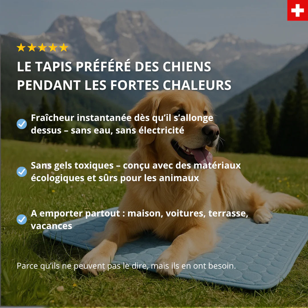 CutyPet™ FreshPad