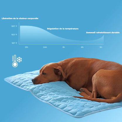 CutyPet™ FreshPad
