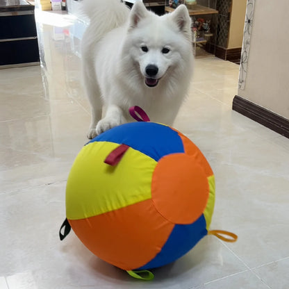 Balle géante CutyPet™