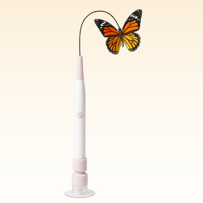 CutyChase™ – Jouet pour chat interactif