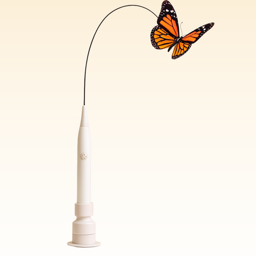 CutyChase™ – Jouet pour chat interactif