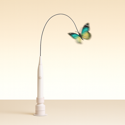 CutyChase™ – Jouet pour chat interactif