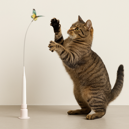 CutyChase™ – Jouet pour chat interactif