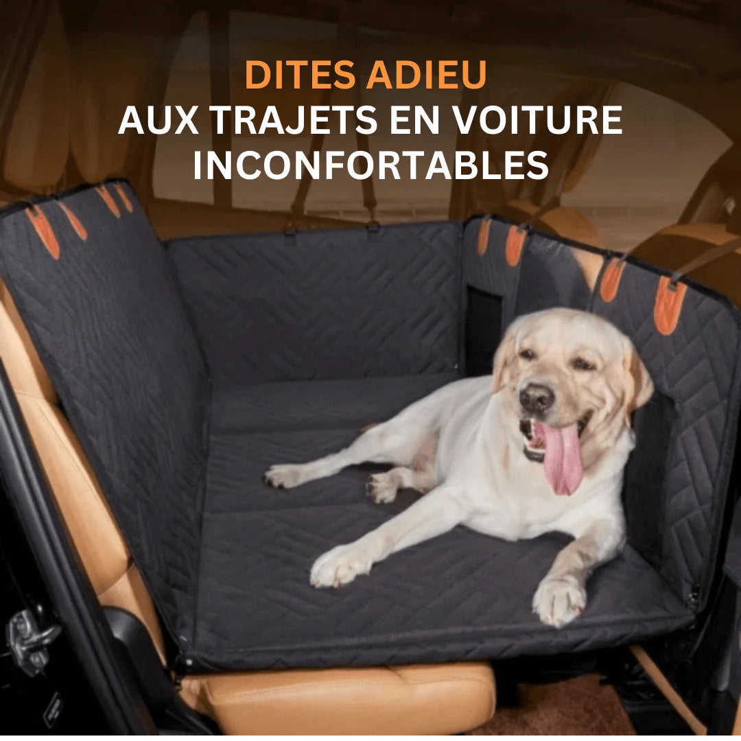 Siège de Voiture pour Chien