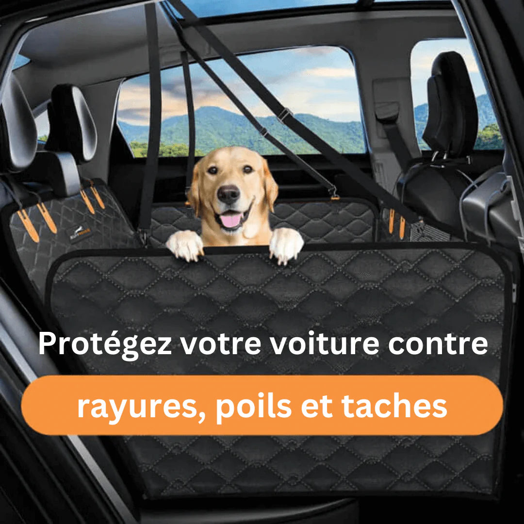 Siège de Voiture pour Chien