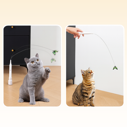 CutyChase™ – Jouet pour chat interactif