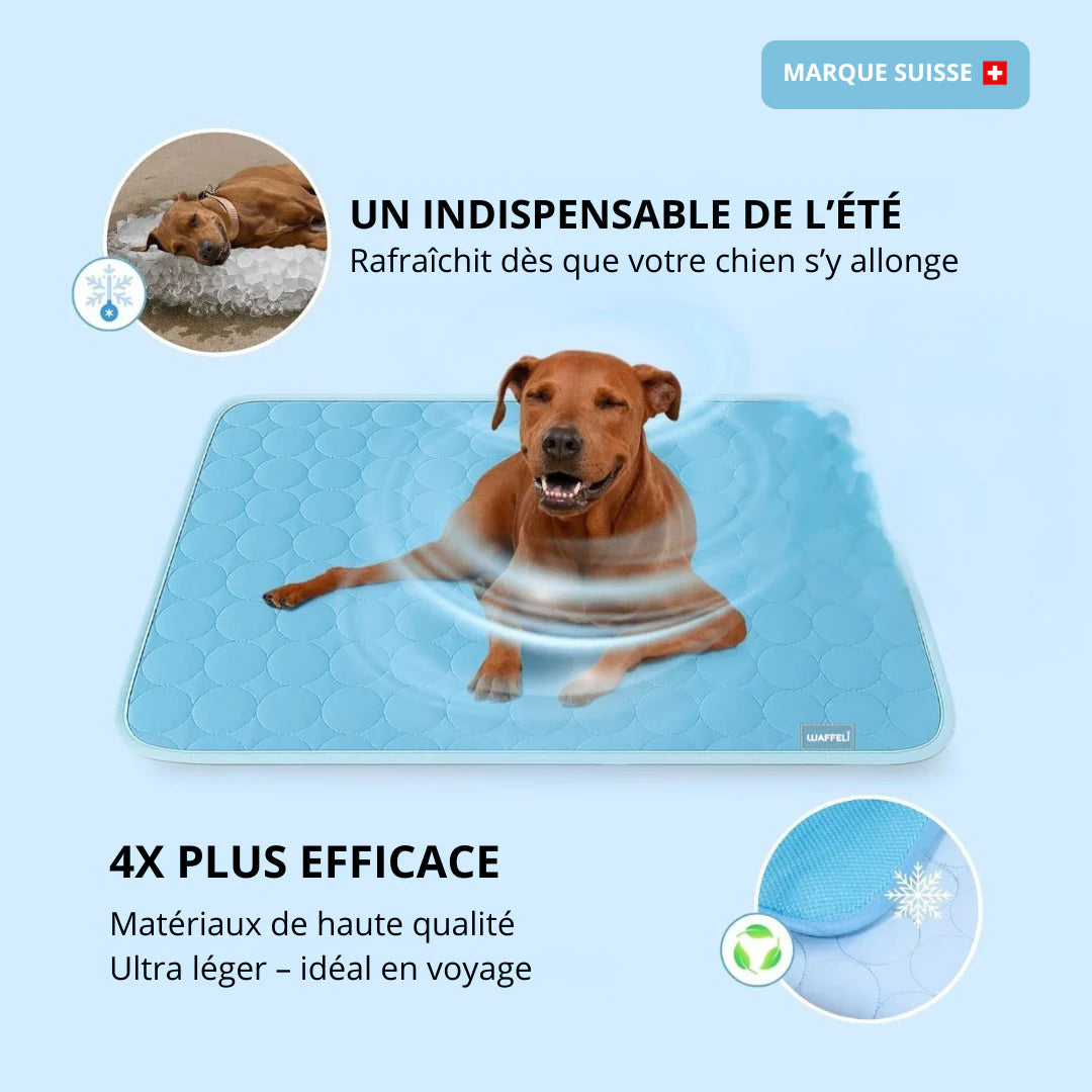 CutyPet™ FreshPad