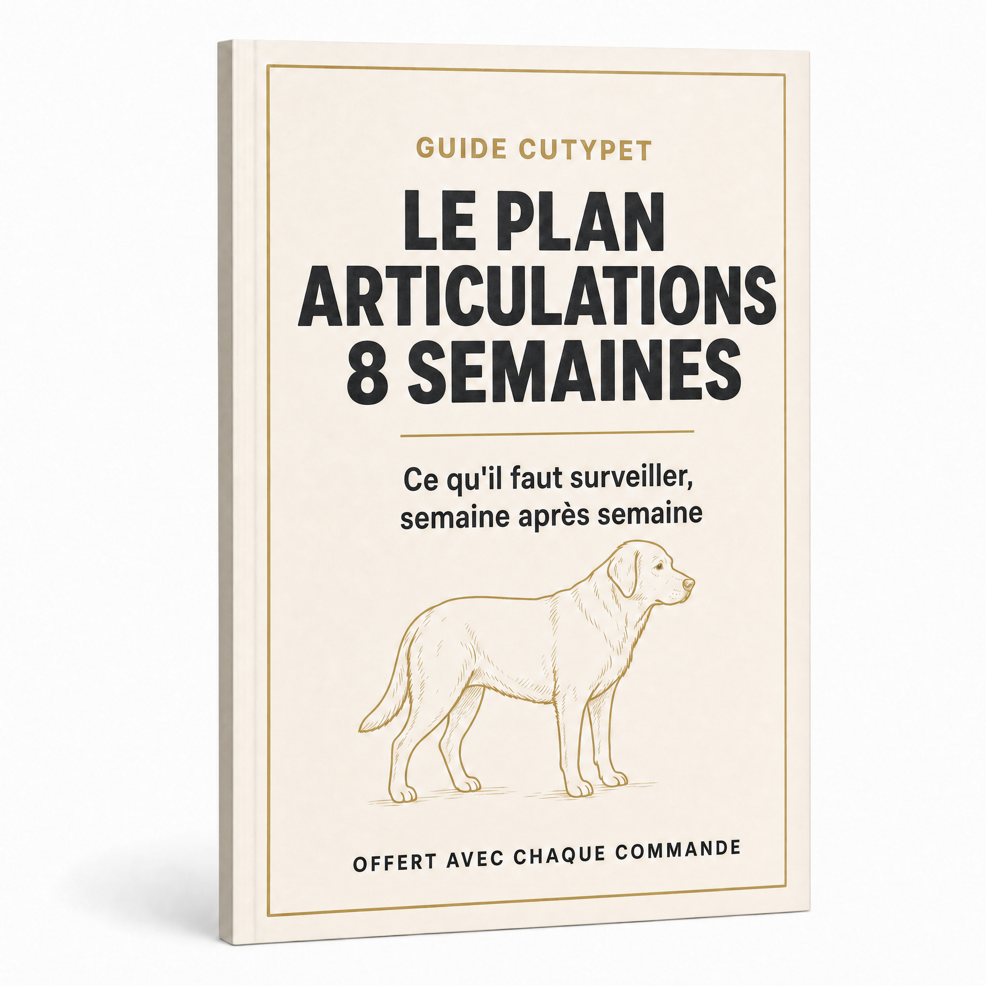 Le Plan Articulations 8 Semaines, guide offert avec chaque commande