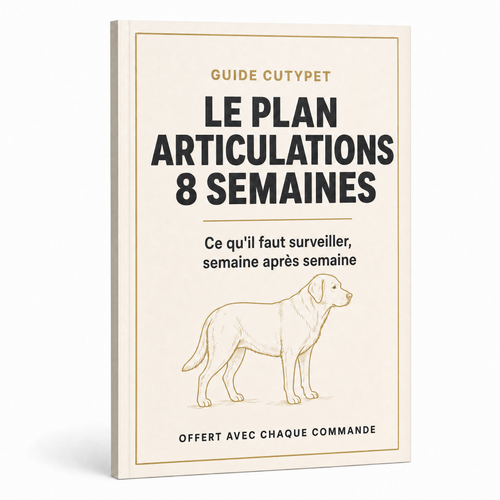 Le Plan Articulations 8 Semaines, guide numérique offert par CutyPet
