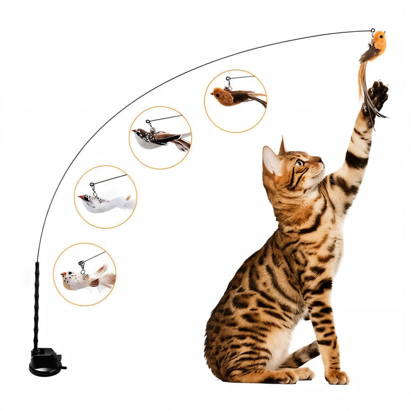 Set de jouet interactif pour chat