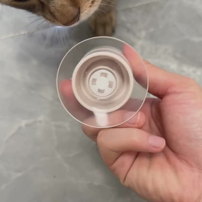 CutyChase™ – Jouet pour chat interactif