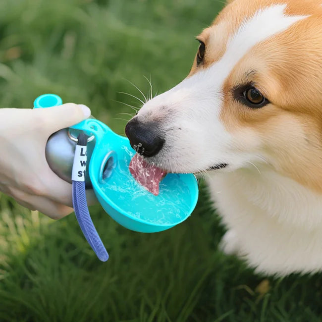 Gourde pour chien 2 en 1